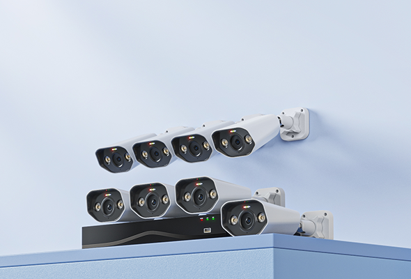 Security System Display